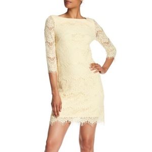 Eliza J Illusion Lace Shift Dress